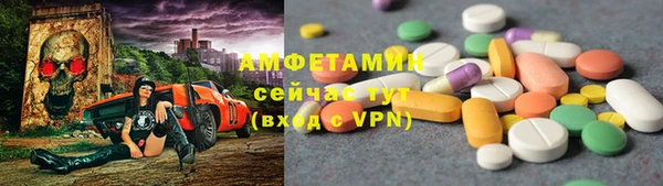 сатива Балахна