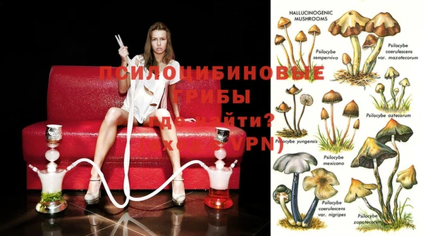 сатива Балахна